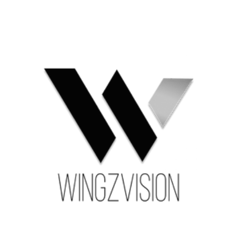 wingzvision